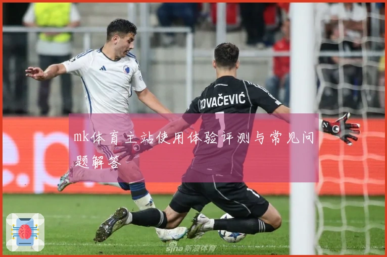 mk体育主站使用体验评测与常见问题解答