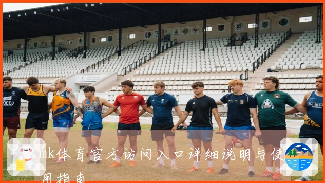 mk体育官方访问入口详细说明与使用指南