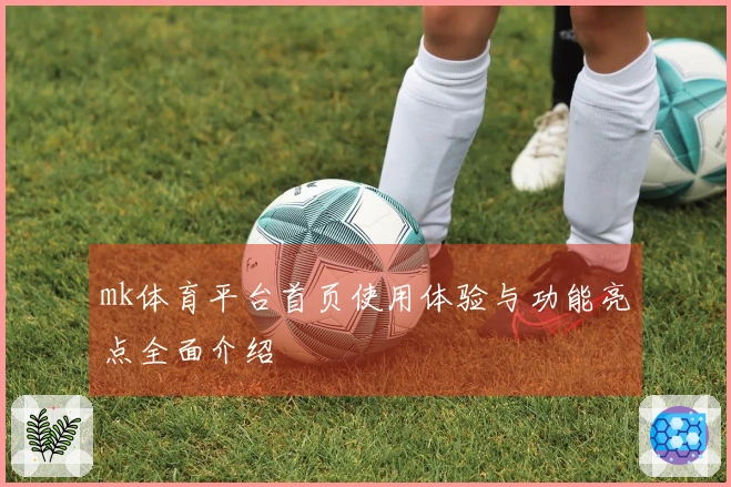 mk体育平台首页使用体验与功能亮点全面介绍