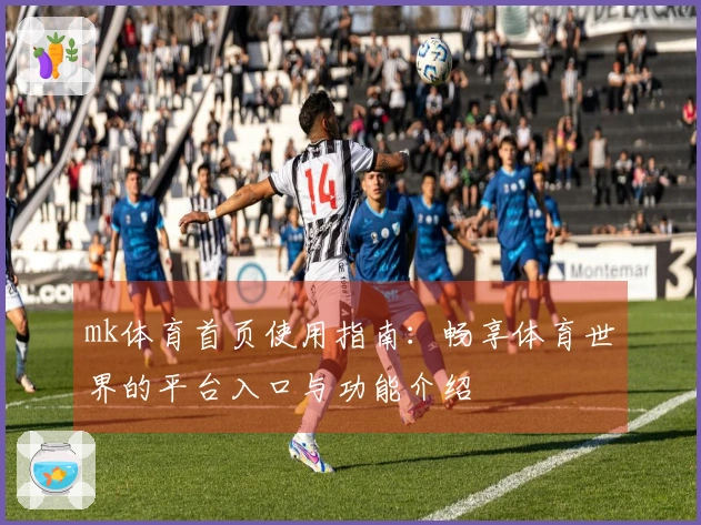 mk体育首页使用指南：畅享体育世界的平台入口与功能介绍